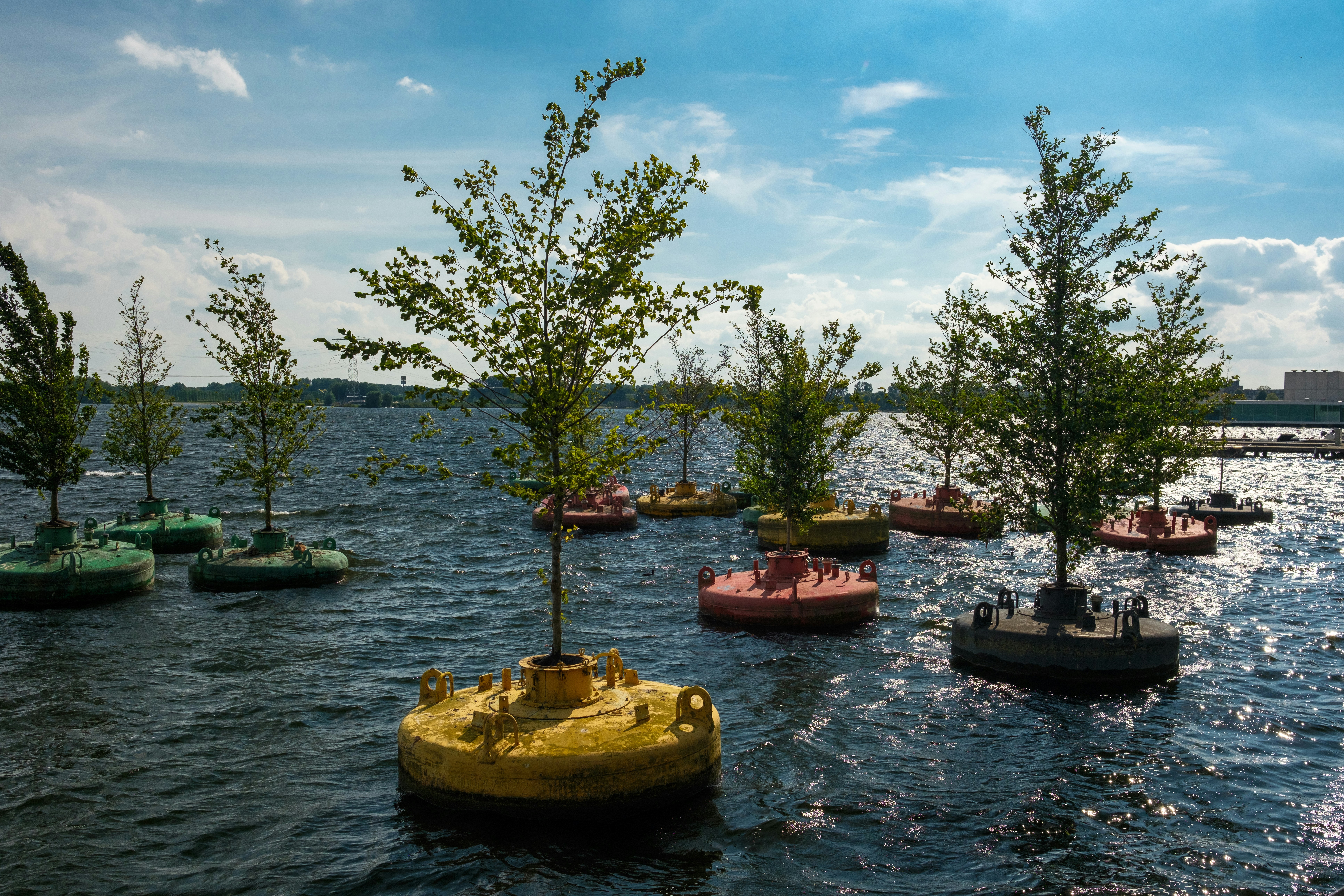 Vida de ecosistemas terrestres